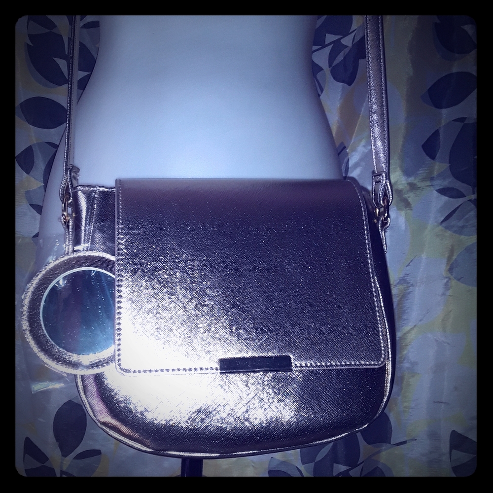 Metallic Purse